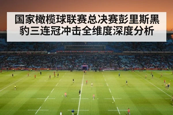 rugby stadium crowd